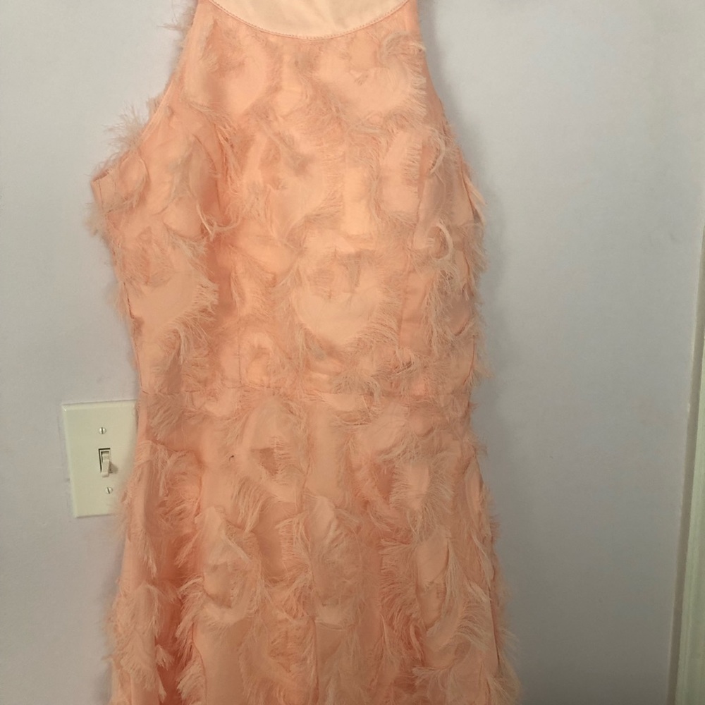 Pink Dress - Picture 6 of 7